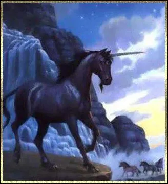 Je suis un cheval  longue corne unique implante au milieu du chanfrein. Qui suis-je ?