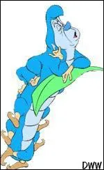 Comment s'appelle la chenille ?