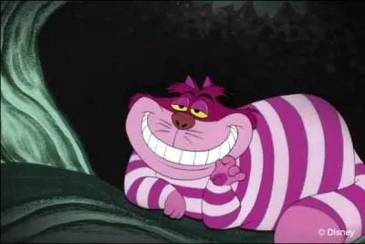 Comment appelle-t-on le chat ? (3 noms)