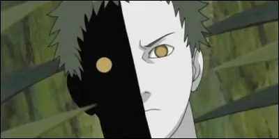Zetsu est un personnage de :