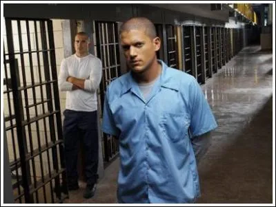 Quelle est cette série ?