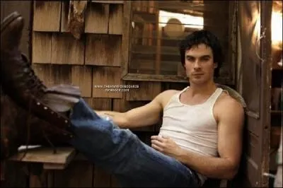 Damon s'est fait mordre par :