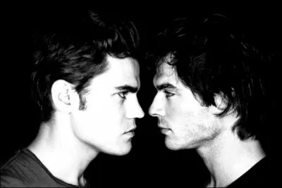 Comment sont morts les frres Salvatore ?