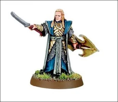 Concernant les Elfes :