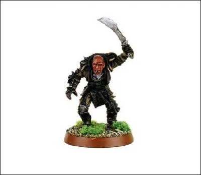 Concernant les Orques :