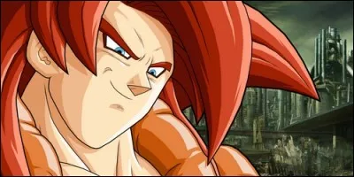 Quel est le nom de la fusion entre Goku et Vegeta contre Li Shenron dans "Dragon Ball GT" ?