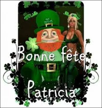 Son vrai nom est Eithne Patricia Ní Bhraonáin. Quel est son pseudo ?