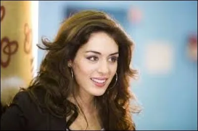 Qui chante ces paroles : ''Je dirais les mots les poèmes / Je jouerais les musiques du ciel / Je prendrais les rayons du soleil / Pour éclairer tes yeux de rêves''