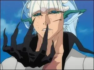 Combien possde-t-il de fraccion ?