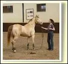 De quelle robe s'agit-il ?