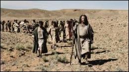 Pendant toute la durée de l'Exode, combien de temps le peuple hébreu a-t-il erré dans le désert à la recherche de la  Terre promise  ?