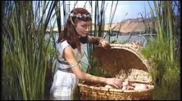 Que fit la mre de Mose pour le salut de son fils ?