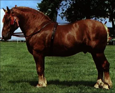 Aujourd'hui, on l'utilise souvent pour :