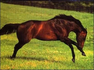 Et que fait celui-ci ?