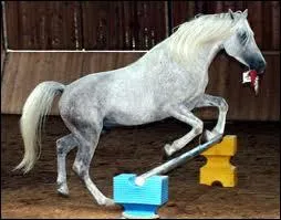 Que fait ce pur-sang arabe ?