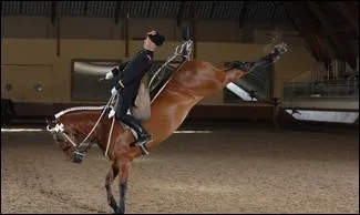 Cette figure s'appelle :