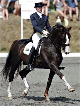 Comment s'appelle cette figure de dressage o le cheval envoie loin ses antrieurs ?