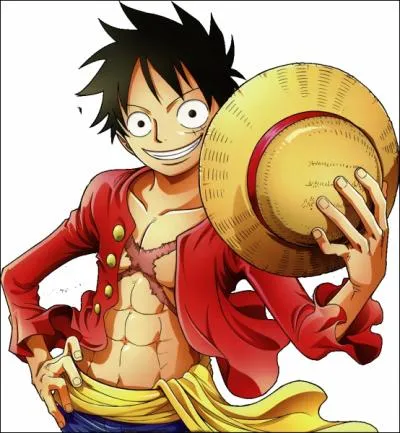 Qui se bat contre Luffy ?