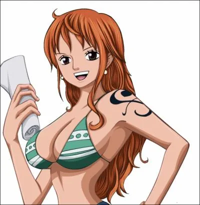 Qui se bat contre Nami ?