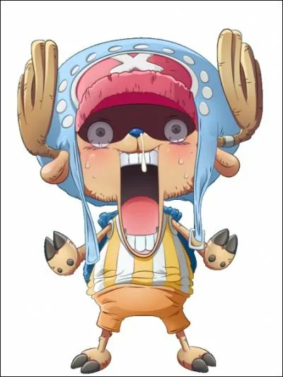 Qui se bat contre Chopper ?