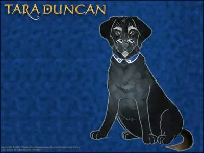 Je suis l'arrire-grand-pre de Tara, j'ai voulu me rendre immortel mais  la place je me suis transform... en un labrador !