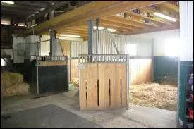 O met-on les chevaux ?