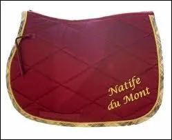 Pourquoi met-on un tapis ?