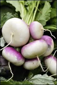 Qui veut bon ... . . , le sme en juillet