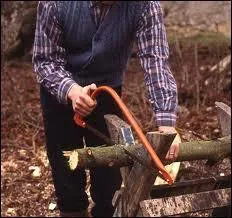 En dcembre, fais du ... . . , et endors-toi.
