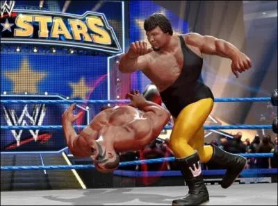 Qui applique ce KnockOut Punch ?