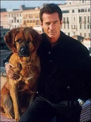 De quelle srie s'agit-il ?