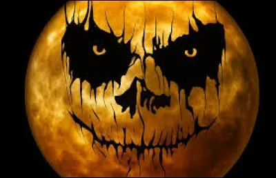 Et il ne faudra pas décorer votre maison avec des...