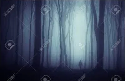 Si vous désirez décorer votre intérieur avec les couleurs traditionnelles d'Halloween, prenez du...