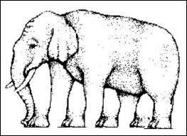 Combien de Pates a cette elephant ? : )