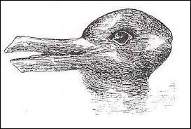 Que voyer vous sur cette photo ?