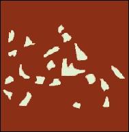 Que voyer vous ? (observez bien )