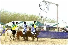 Qu'est-ce que cette discipline ?