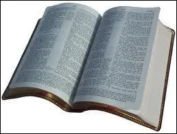 Auteur du 3me Evangile et des Actes des Aptres, saint patron des mdecins et des peintres, je suis