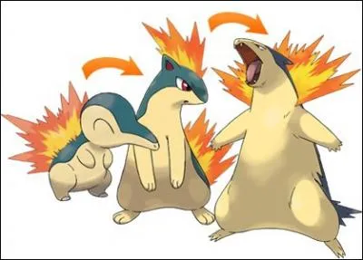 Lequel de ces Pokmon ne fait pas partie de la mme famille ?