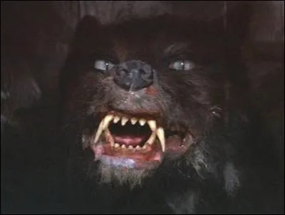 Quelle est la mission de Gmork ?