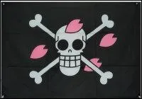  qui appartient ce drapeau ?