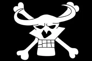 Quel quipage arbore ce drapeau pirate ?