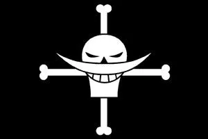 Quel quipage arbore ce drapeau pirate ?