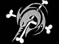 Quel quipage arbore ce drapeau ?