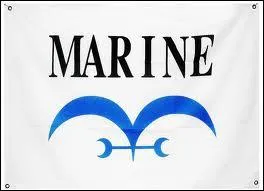  quelle organisation appartient ce drapeau ?