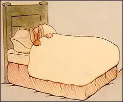 Si vous voulez viter le malheur, que ne devez-vous pas poser sur un lit ?