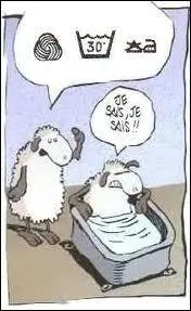 Pourquoi les gens sales sont-ils protgs du malheur ?