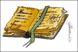 Quel est ce livre de Jean Claude Diedler qui traite du destin d'une gurisseuse au 16 sicle ?