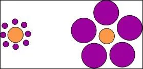 De quelle taille sont les ronds oranges ?