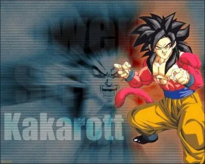 Qui est cette personne ?